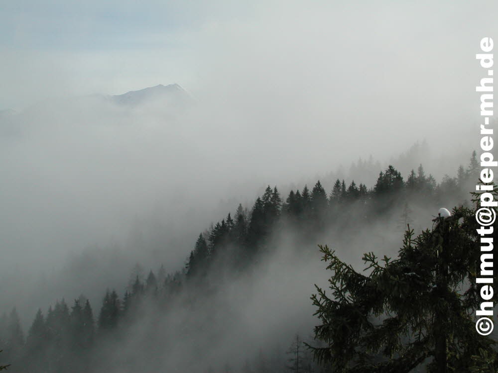 DSCN0512